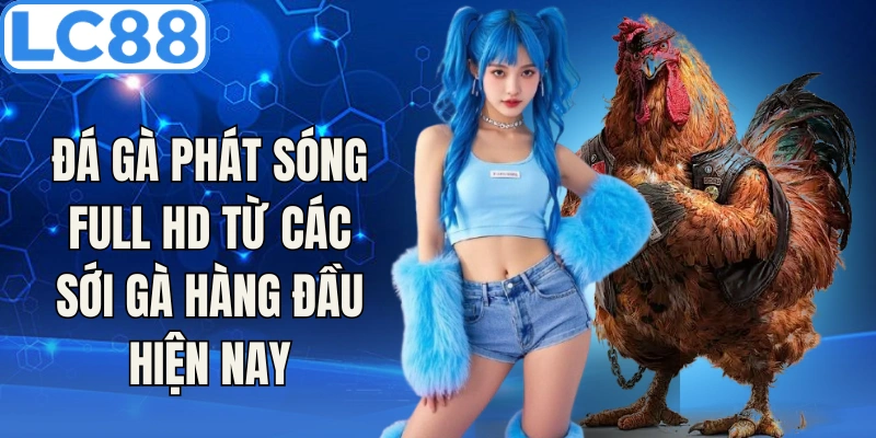 Đá gà LC88 phát sóng full HD từ các sới gà hàng đầu hiện nay